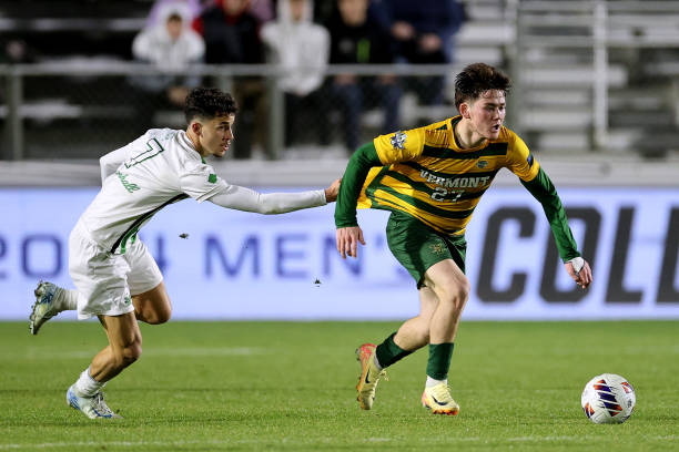 从中可见 从中可见